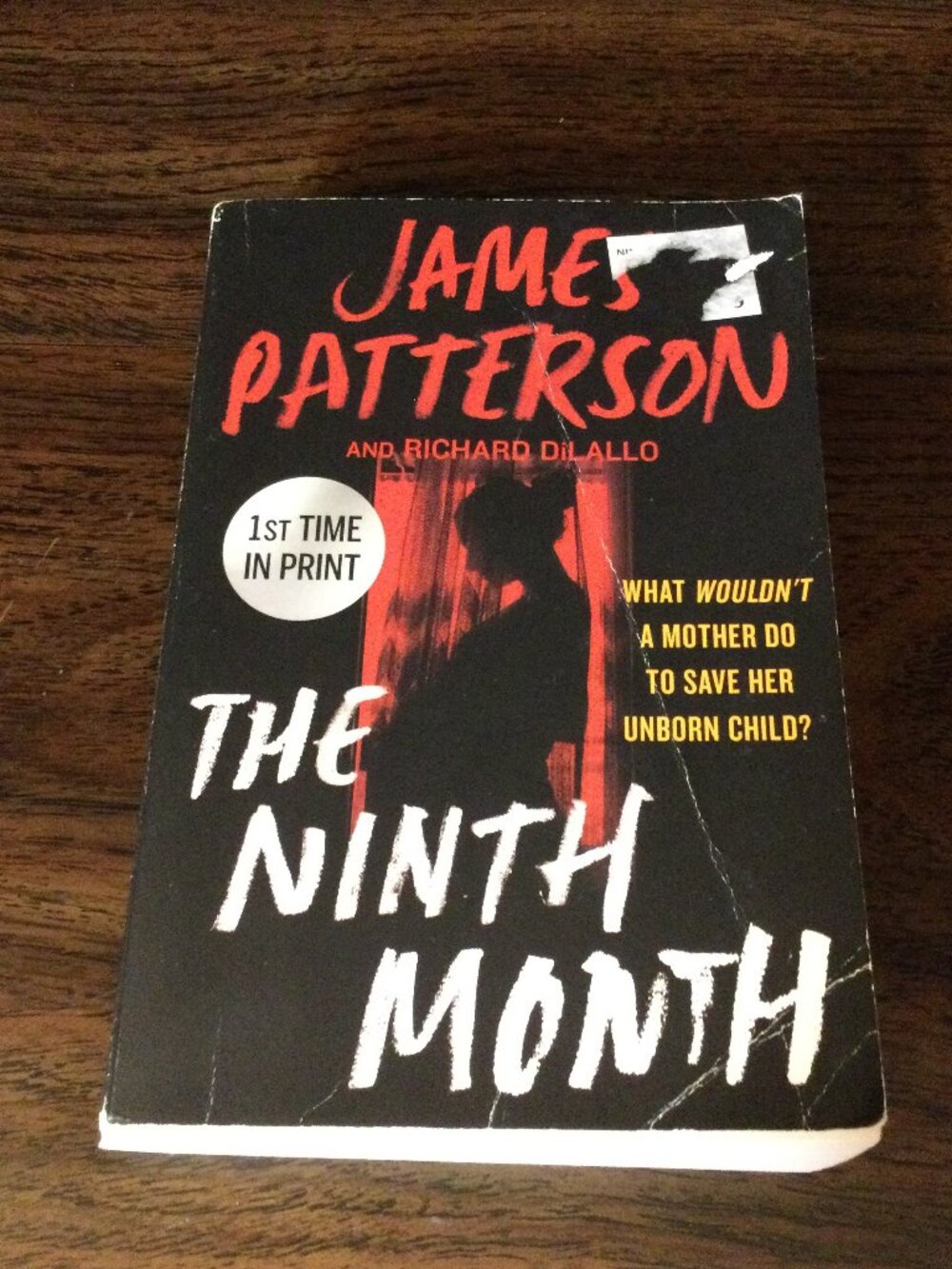 The Ninth Month - James Patterson & Richard DiLallo 1st Edition Print Paperback